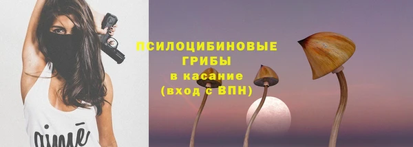 стафф Баксан